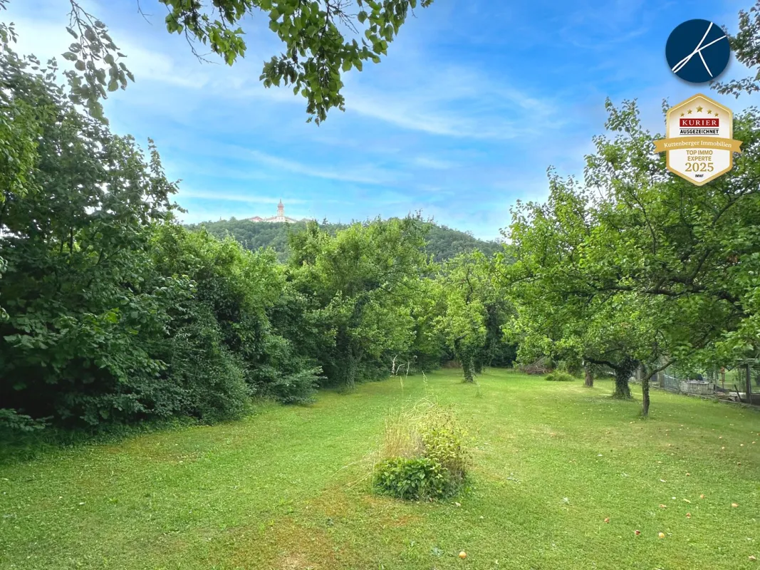 Baugrund für Einfamilien- oder Doppelhaus im Grünen - Bild 1