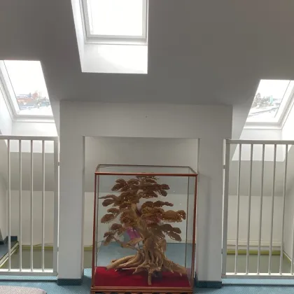 !!! Neuwertige, möblierte Wohnung (als WG) an 2 japanische MOZARTEUM-STUDENTINNEN zu vermieten !!! - Bild 2