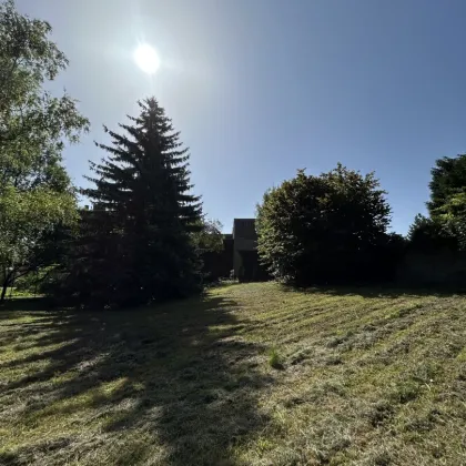 Drei bebaubare Grundstücke + Villa mit Garten in Perchtoldsdorf – einzeln oder gemeinsam erwerbbar. - Bild 2