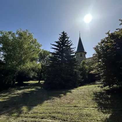Drei bebaubare Grundstücke + Villa mit Garten in Perchtoldsdorf – einzeln oder gemeinsam erwerbbar. - Bild 3