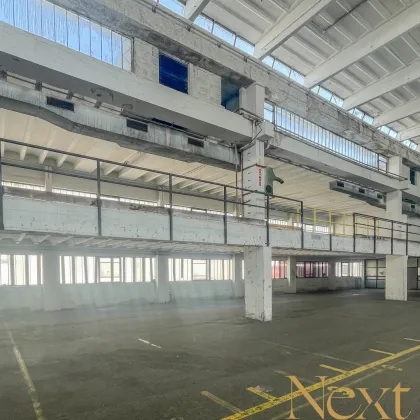 Lagerhalle mit Mezzanin in verkehrsgünstiger Lage von Linz zu vermieten! - Bild 3