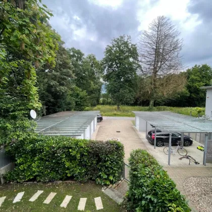 Bestlage Maisonettenwohnung in Nonntal - Bild 3