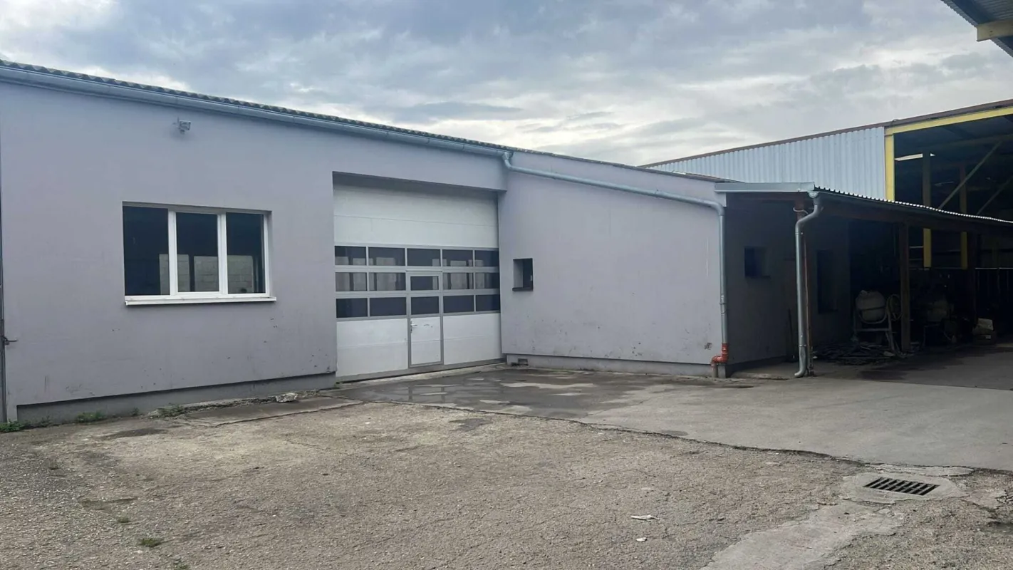 Großzügige Halle in Neudorf: 250m² für nur 890€/Monat – ideal für Ihr Gewerbe! - Bild 1