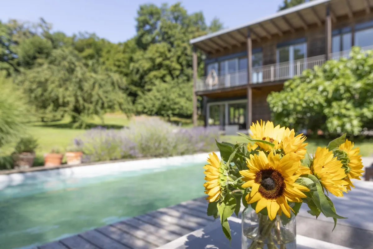 Natur trifft Moderne: Traumhaus mit prachtvollem Garten, Pool und nachhaltiger Ausstattung in Rekawinkel - Bild 1