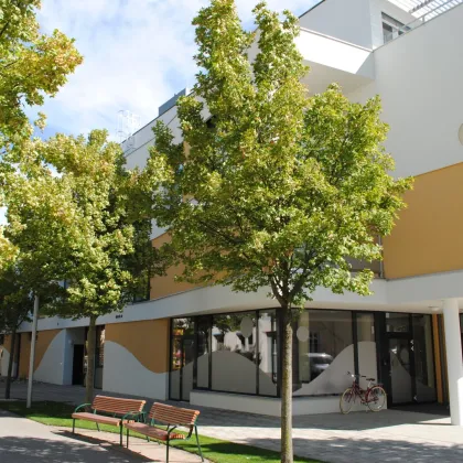 Tiefgaragenplatz im Zentrum von Deutsch-Wagram - Bild 3