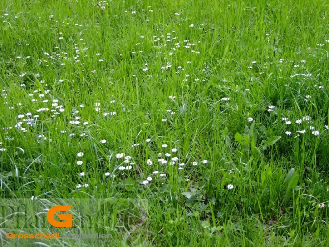 Baurecht: Gewerbegrund in Neumarkt - Bild 1