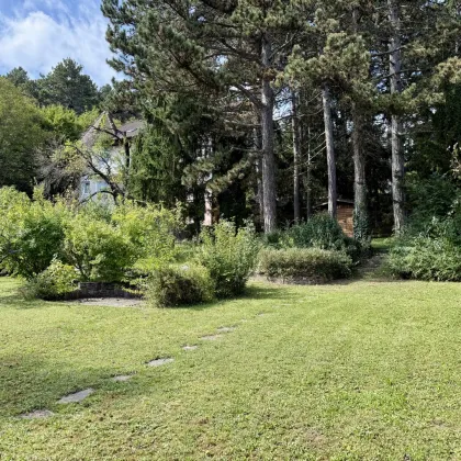 Charmantes Einfamilienhaus in Wöllersdorf – Ihr neues Zuhause wartet auf Sie! - Bild 3