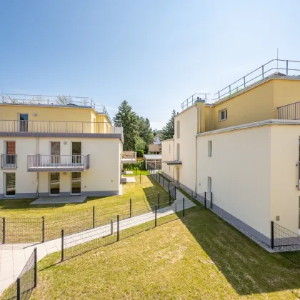 Wohnpark Neulengbach | Erstbezug | 3 Zimmer mit Balkon - Bild 3
