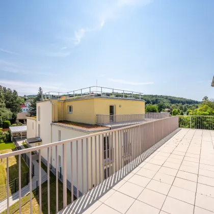 Wohnpark Neulengbach | Erstbezug | DG | 48 m² Terrasse - Bild 3