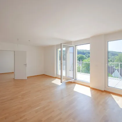 Wohnpark Neulengbach | Erstbezug | DG | 48 m² Terrasse - Bild 2