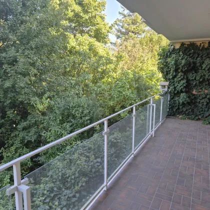 Balkonwohnung in Ruhelage in der Nähe des Lainzer Tiergartens - Bild 3