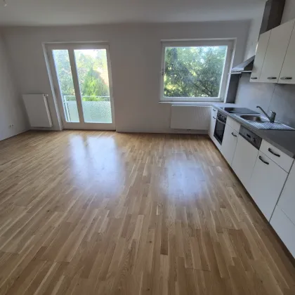 Ruhig gelegene 2 Zimmer Wohnung in der Nähe des Lainzer Tiergartens - Bild 2