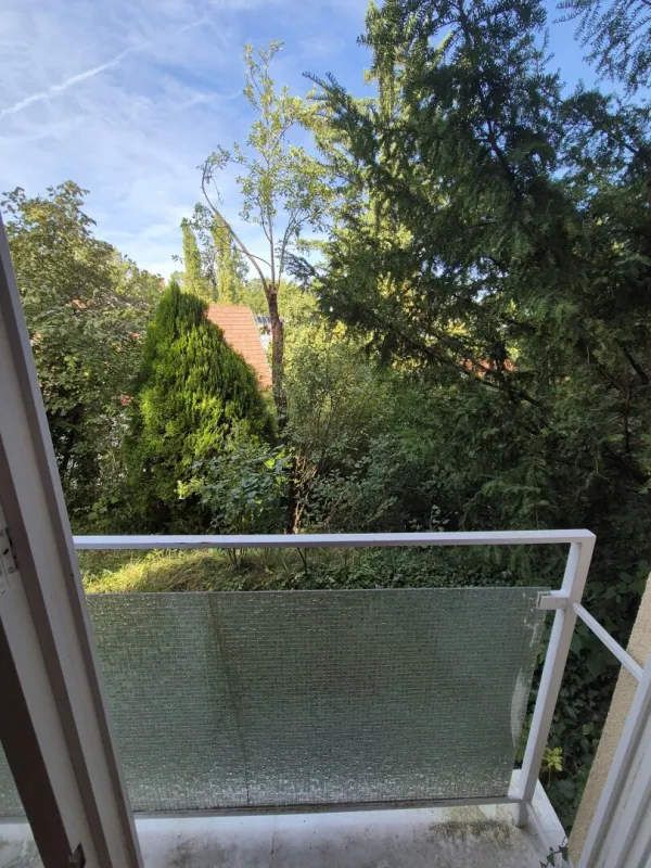 Ruhig gelegene 2 Zimmer Wohnung in der Nähe des Lainzer Tiergartens - Bild 1