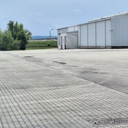 +++ Zur Vermietung gelangt in Wulkaprodersdorf eine Freie Fläche mit ca. 400 m² - 30.000 m² +++ - Bild 3
