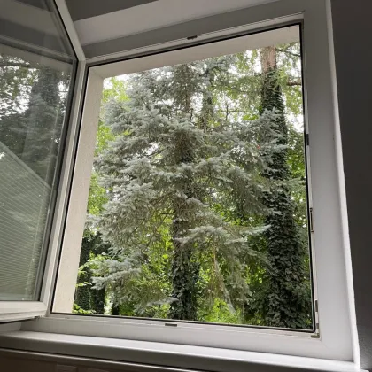 Möblierte Bürofläche (Umnutzung auf Wohnung möglich) im Erdgeschoss – zentral mitten in Salzburg - Bild 3