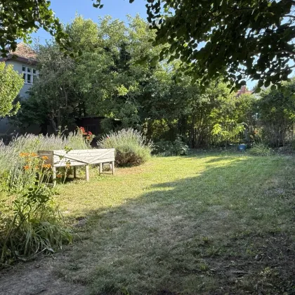 VERKAUFT - Martini hätte seine Freude! - Bild 2