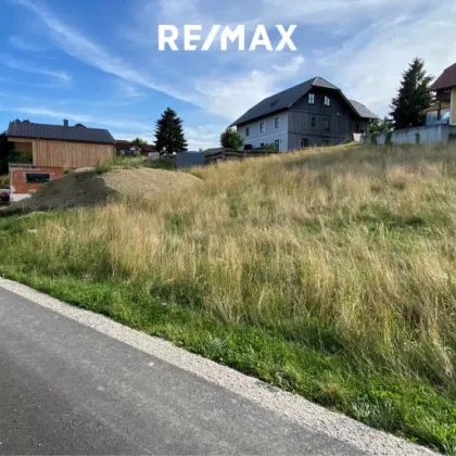 Baugrundstück mit Blick auf den Traunstein, in Ottnang am Hausruck - Bild 3