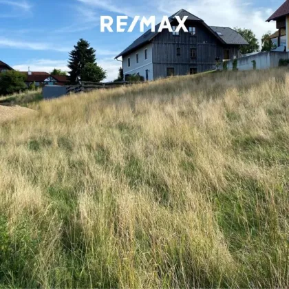 Baugrundstück mit Blick auf den Traunstein, in Ottnang am Hausruck - Bild 2