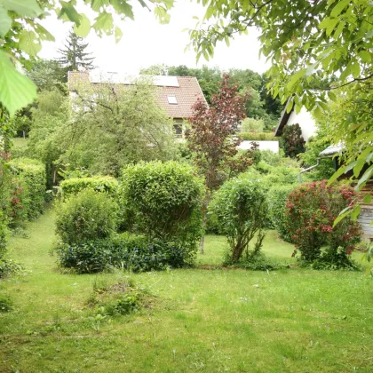 Barfuß durch das kühle Gras - in der Natur leben, lachen, lernen und das Leben verlangsamen - Bild 2