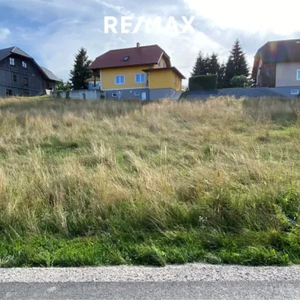 Baugrundstück mit Blick auf den Traunstein, in Ottnang am Hausruck - Bild 3