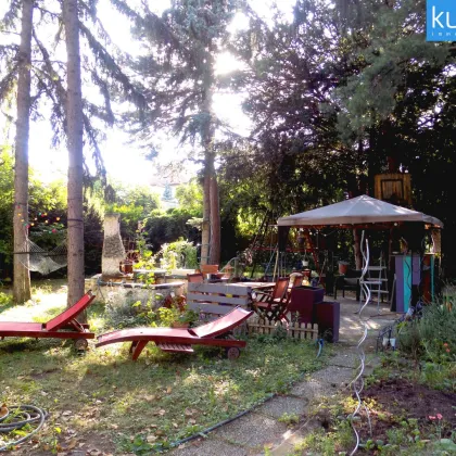 Ruhelage Nähe Donauspital - Bild 2