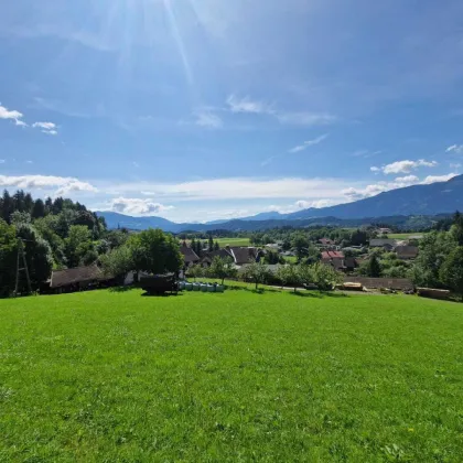 Ca. 5000 m² Bauerwartungsland oberhalb des Millstättersees - Bild 2