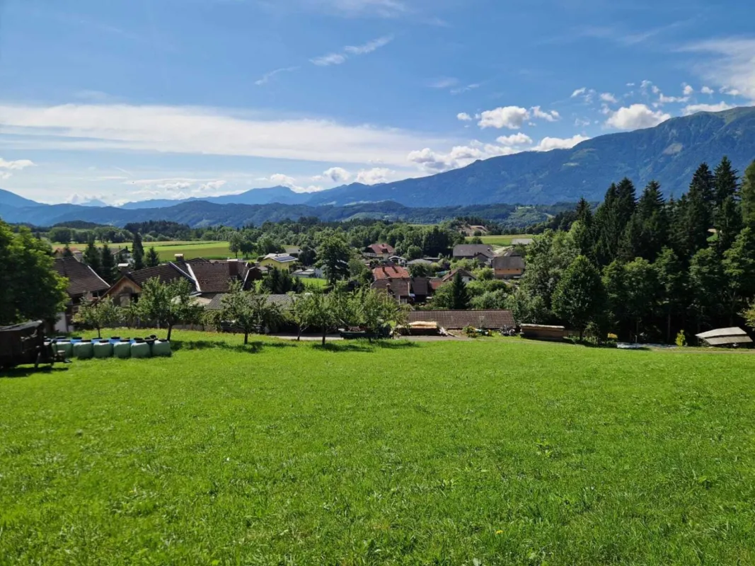 Ca. 5000 m² Bauerwartungsland oberhalb des Millstättersees - Bild 1