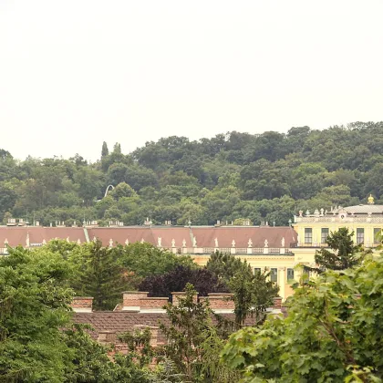 Schloss Schönbrunn und Gloriette: geplanter Rohdachboden bei U4 Hietzing - Bild 3
