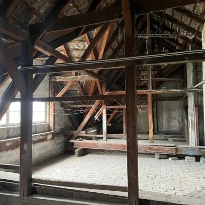 Bestandsfreies, charmantes Gründerzeitzinshaus in sehr guter Lage Nähe Klinik Floridsdorf/Nord - Bild 3