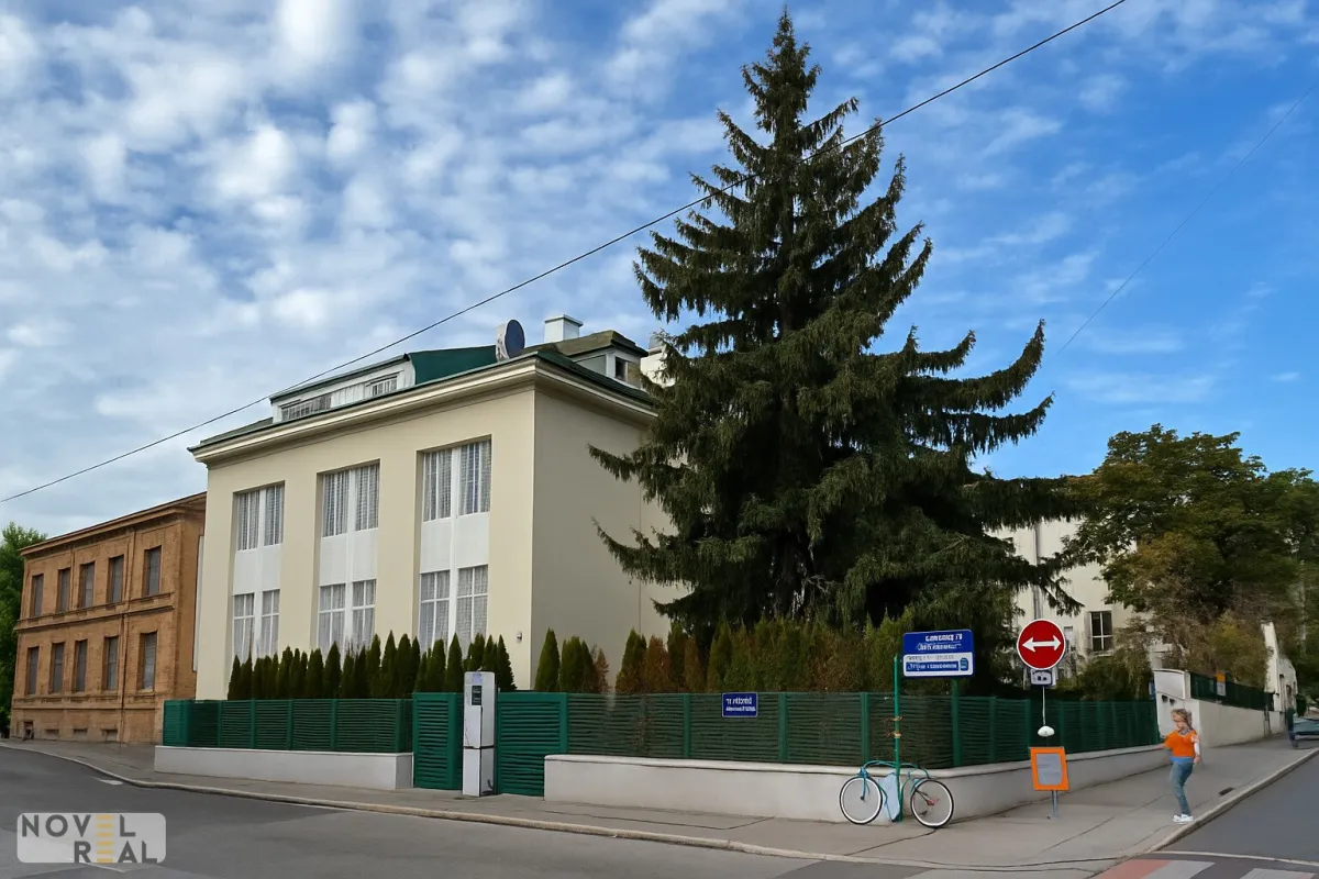 Premium-Investition!!! Historische Eleganz trifft modernen Wohnkomfort –Luxusvilla mit Gartenparadies und Pool in bester Lage! - Bild 1