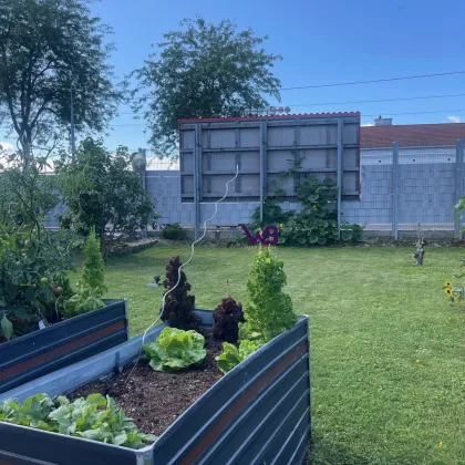 Traumhaftes Holz- Einfamilienhaus mit Eigengarten in Wien – mit 2. Grundstück extra! - Bild 2
