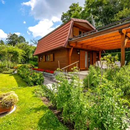 Kleingarten ganz groß! | 674 m² am Hackenberg | gepflegtes, sofort nutzbares Sommerhaus | Stellplatz! - Bild 2