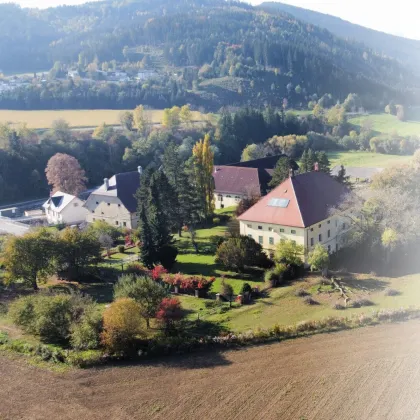 Schloss Krumfelden – Krumfelden, Althofen - Bild 2