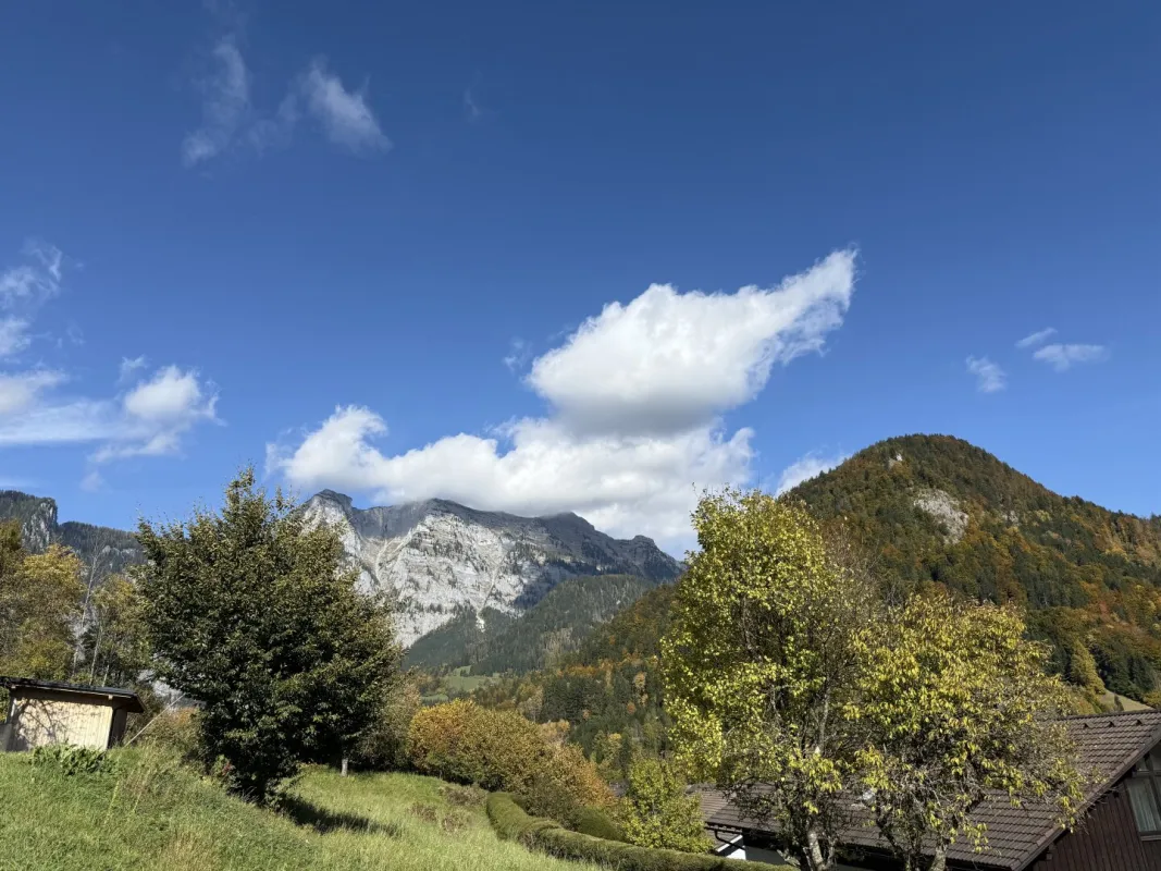 Grundstück in Weißenbach bei Liezen - Bild 1