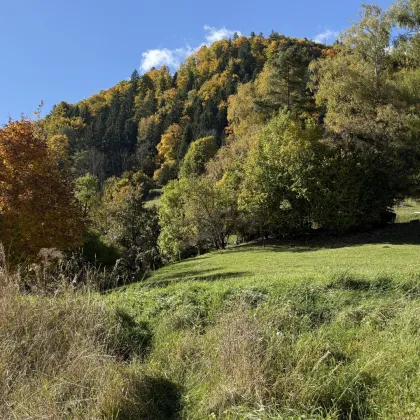Grundstück in Weißenbach bei Liezen - Bild 2