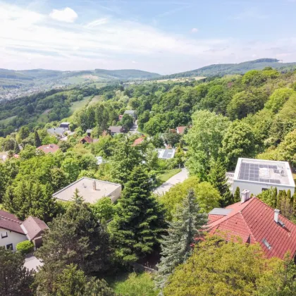 Grundstück mit Altbestand und Panoramablick am Ölberg Klosterneuburg - Bild 2