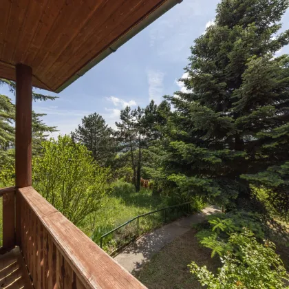 Grundstück mit Altbestand und Panoramablick am Ölberg Klosterneuburg - Bild 3