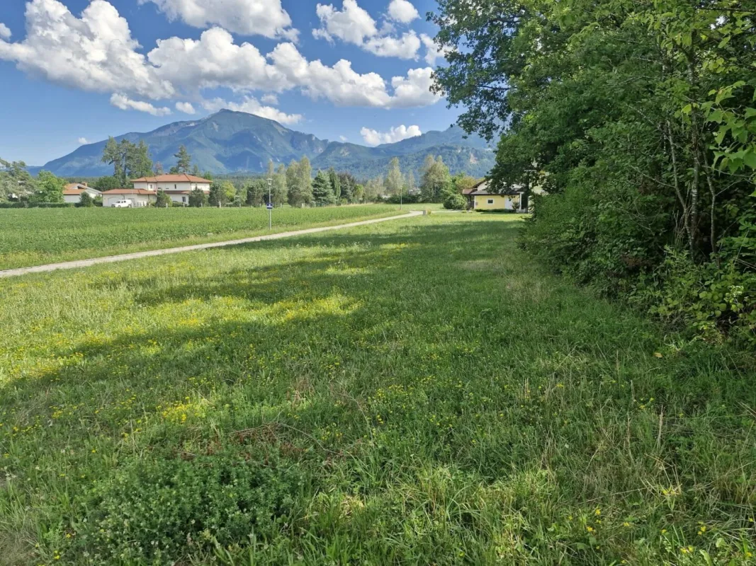 Traumhaftes Baugrundstück mit 3150 m² im Unterkärntner Seengebiet, Bergblick! - Bild 1