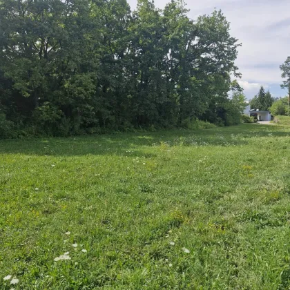 Traumhaftes Baugrundstück mit 3150 m² im Unterkärntner Seengebiet, Bergblick! - Bild 2