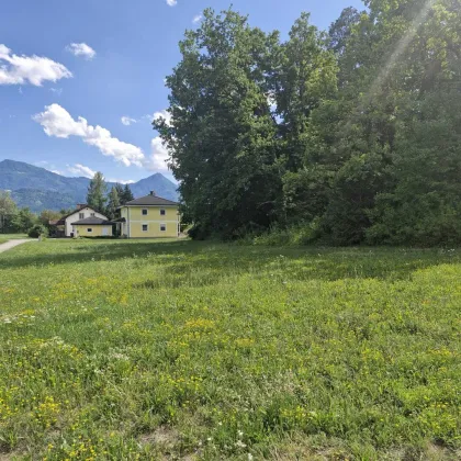 Traumhaftes Baugrundstück mit 3150 m² im Unterkärntner Seengebiet, Bergblick! - Bild 3
