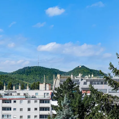 Rooftop-Refugium mit 2 uneinsehbaren Terrassen! 2-Zi-Apartment zentral & Ausblick mit Wow-Effekt. - Bild 3