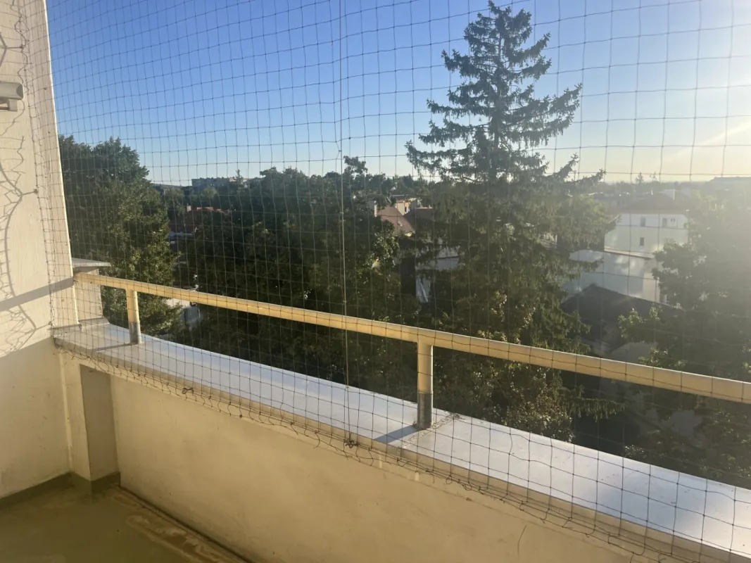 Baden - Eigentumswohnung in Toplage - sanierungsbedürftig - Bild 1