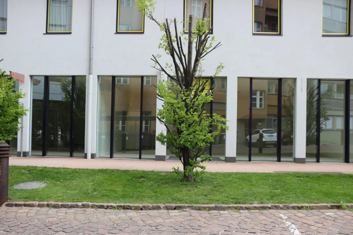 Geräumige Büroflächen 171qm im EG - beim Landhausplatz - Bild 1