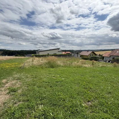 *NEUER PREIS* Baugrundstück in sonniger Aussichtslage – 4710 Tollet - Bild 3