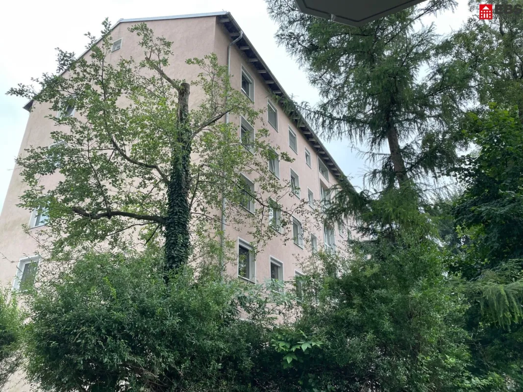 Wohnung (derzeit als Büro genutzt) mit Potential im Erdgeschoss – zentral mitten in Salzburg Lehen - Bild 1