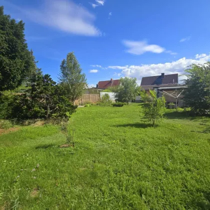 Charmantes Einfamilienhaus 125m² wohnfl. mit 791m²  Garten und überdachte Terrasse und Kaminanschluss in Leobersdorf – S-Bahn in der Nähe! - Bild 3