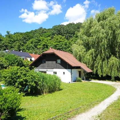 Grünruhelage am Waldrand! Familienidyll mit großem Garten, Schwimmbecken und Sauna - Bild 3