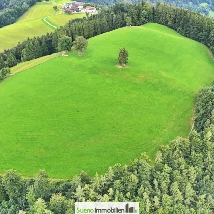 TRAUM-BERG GRILLPARZ im Herzen des Kremstals zum Verkauf! Über der Nebelgrenze! - Bild 3