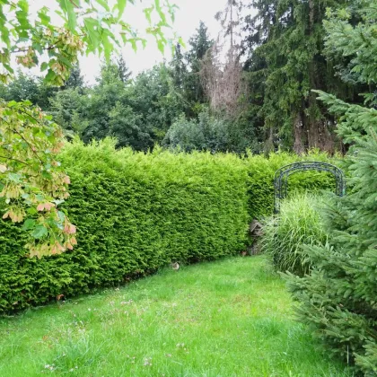 Idyllisches Einfamilienhaus in Bestlage mit separater Einliegerwohnung in Salzburg-Mayrwies - Bild 2