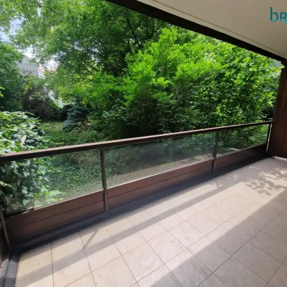 NÄHE U2 RATHAUSPLATZ - BALKON - GRÜNBLICK - RUHIGES 4 ZIMMER BÜRO in der TRAUTSONGASSE zu mieten - Bild 2